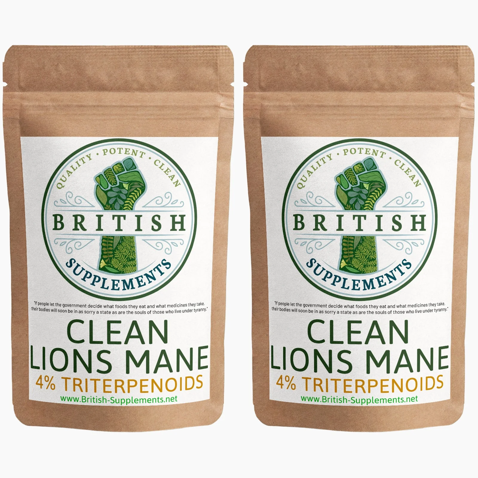 Lions Mane Extract Triterpenoids Version + Uptake Blend - Image 6